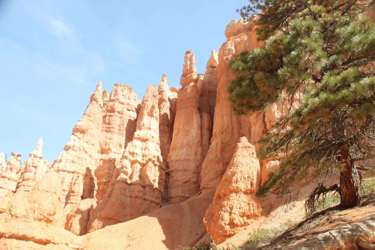 Queens/Navajo 